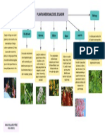 Mapa Cognitivo de Cajas