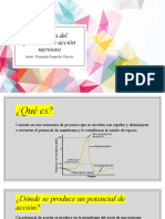 Fisiología Del Potencial de Acción Nervioso