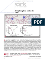 Plasmacytosit in Dengue