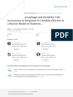 Dendritic Cell and Macrofag in DM