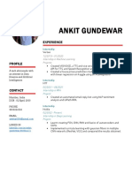 Ankit Gundewar: Experience