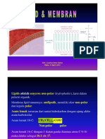 Lipid & Membran