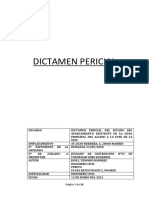 Dictamen Pericial