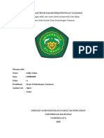 Laporan Praktikum Dasar Perlindungan Tanaman