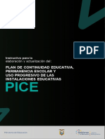 Instructivo Pice (1)