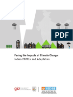 Adelphi Giz 2012 Msme Climate Risk Study