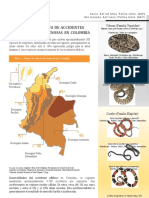 Inforgrafía Accidente Ofídico