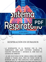 8°ciencia Sistema Respiratorio