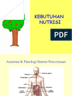 Askep Kebutuhan Nutrisi