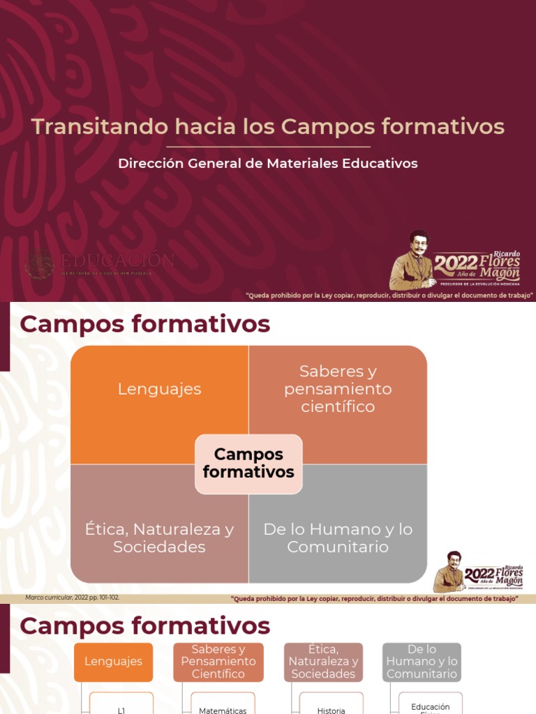 Campos Formativos en Educación 2022 | PDF | Plan de estudios | Conocimiento