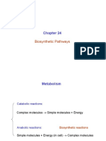 Biosynthetic Pathways: Chemistry 203