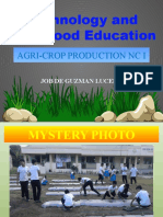 Technology and Livelihood Education: Agri-Crop Production NC I