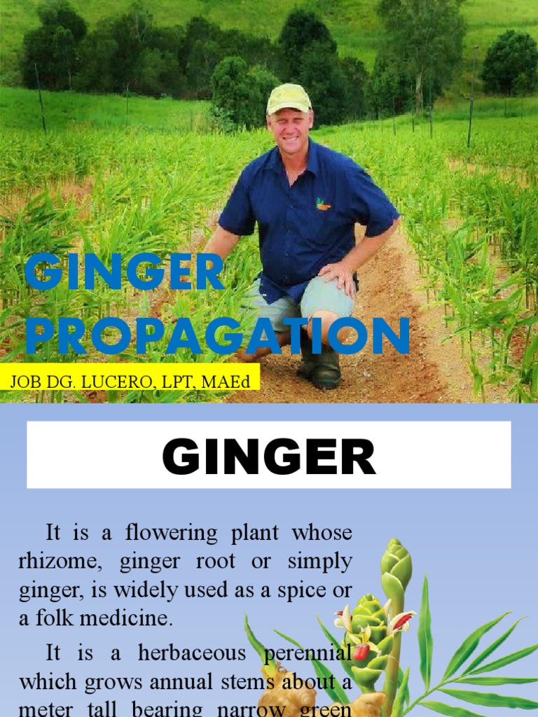 13. Propagation of Ginger PDF