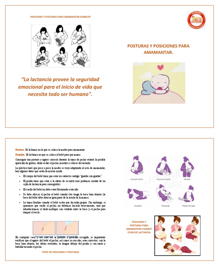 Diptico Posturas y Posiciones para Amamantar | PDF
