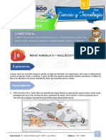 1ºaño Biología s6 Reino Animalia IV Moluscos y Equinodermos