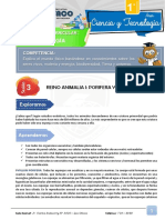 1ºaño Biología s3 Reino Animalia I Porifera y Cnidaria