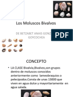 Los Moluscos Bivalvos