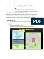 Sistema Nervioso