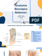 Anatomia Bioscopica Abdomen Grupos 1, 2 y 3 - A