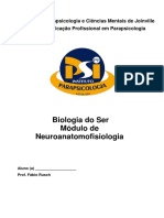 Neuroanatomia e fisiologia