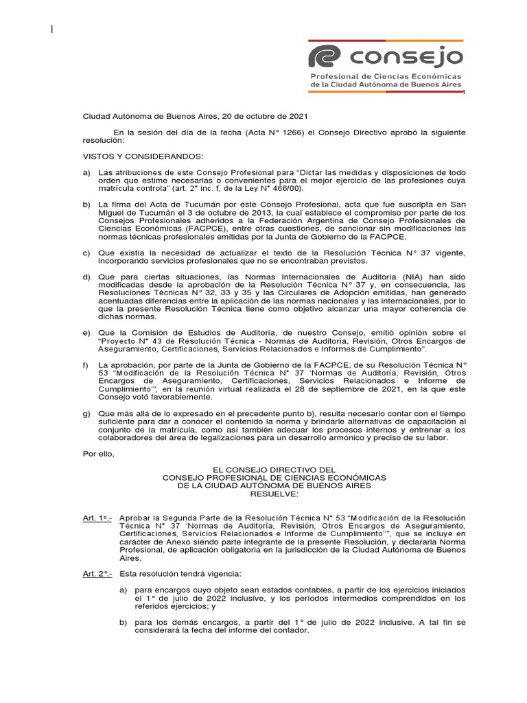 RT 53 Cpcecaba | PDF | Auditoría | Contabilidad