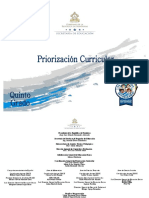 5 Priorizacion Curricular Quinto Grado