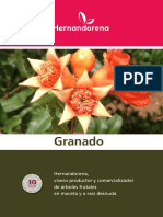 Granado 2018 Hernandorena