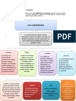 Los carbohidratos: mapa conceptual sobre proteínas, lípidos, cereales y más