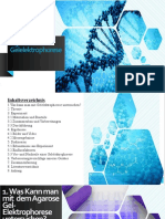 Agarose Gel Elektrophorese