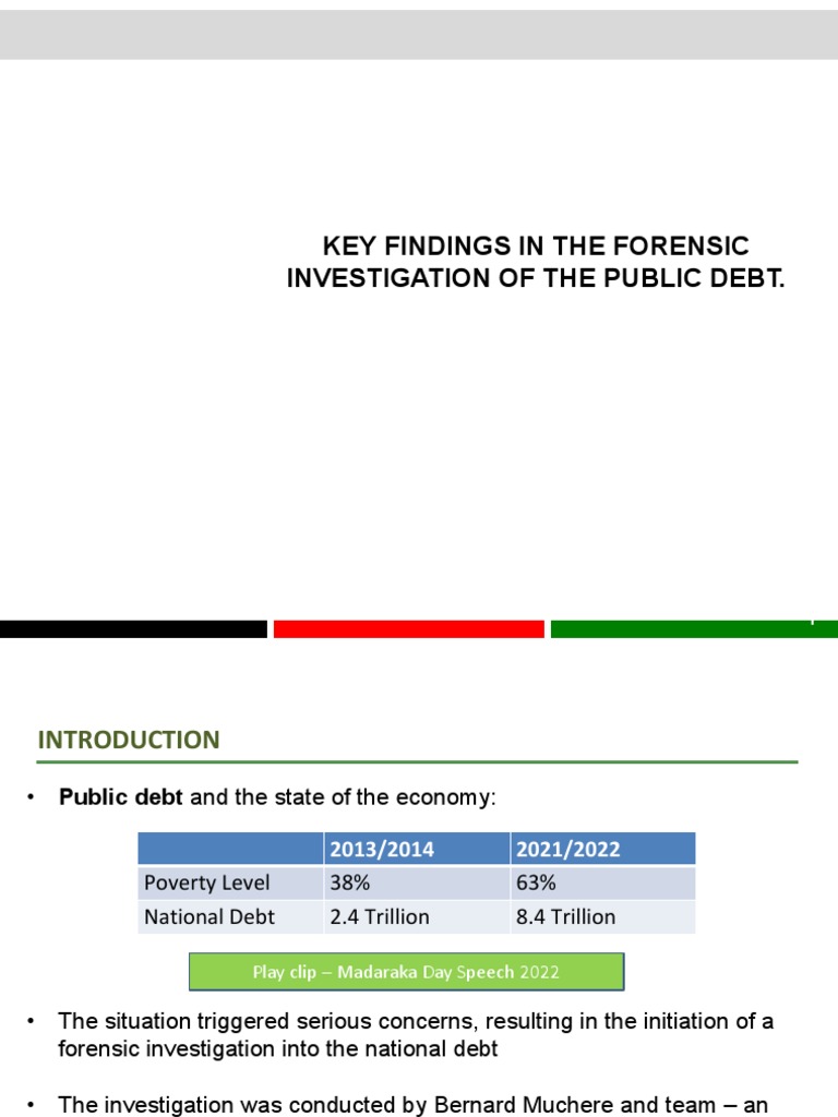 Key Findings in The Forensic Investigation of The Public Debt PDF Loans Debt