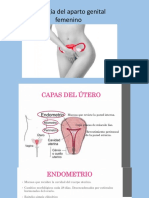 Fisiología del ciclo genital femenino