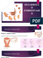 Primer Trimestre-1°año