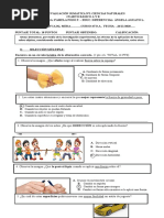 Prueba La Fuerza y Sus Efectos Adaptada