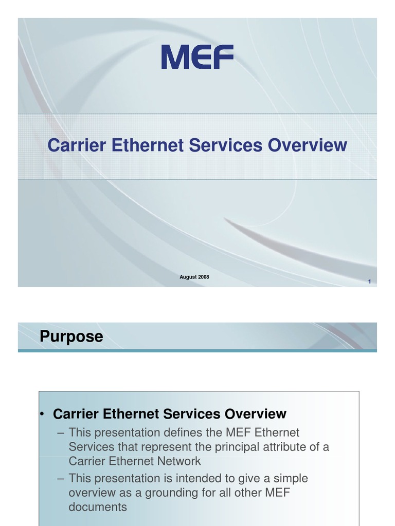 Carrier Services Overview PDF Computer Network Media