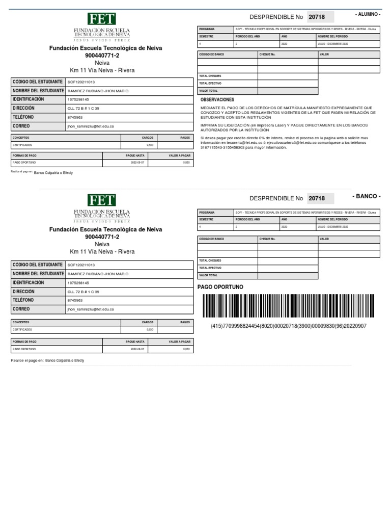 Impresion Recibo de Pago Fet | PDF | Industrias de servicio | Informática