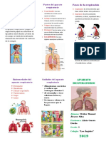 Cuidados Del Aparato Respiratorio