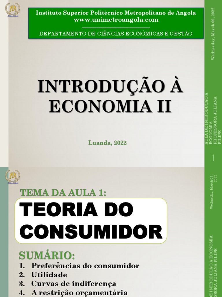 introdu-o-aos-conceitos-fundamentais-da-teoria-do-consumidor