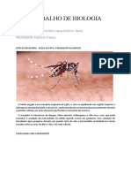 Espécies invasoras - Aedes aegypti, o mosquito da dengue