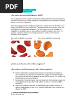 fOLLETO 1 SÍNDROMES MIELODISPLÁSICOS