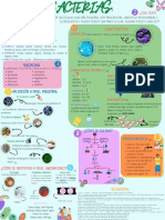 Bacterias, Infografia.