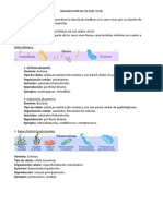 Organización de Los Seres Vivos