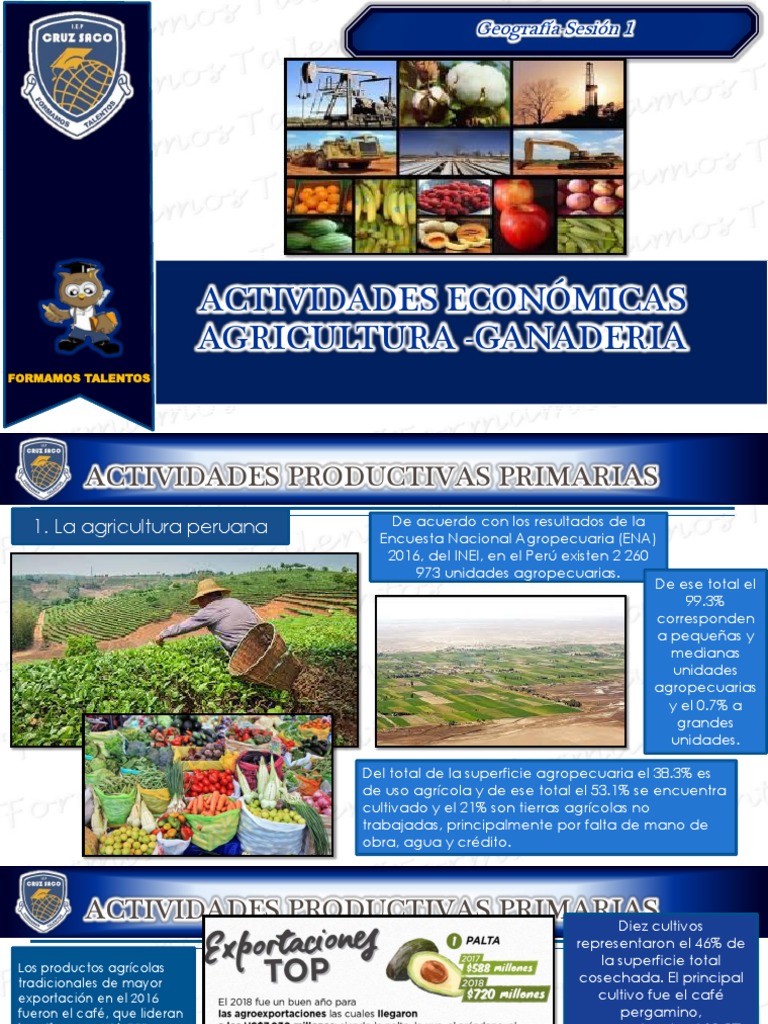 BCS S1 Actividades Economicas Agricultura y Ganaderia | PDF ...
