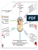 Cuidados de Enfermeria Mapa Ment