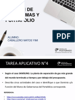 Tarea N°4 Portafolio Gobernanza