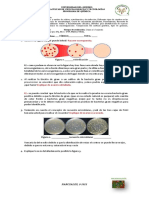 Parcial Lab 1 Micro