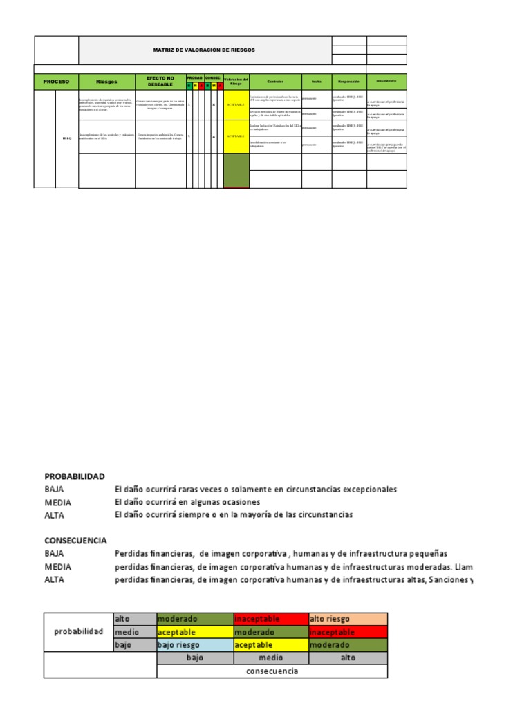 Matriz de Valoración de Riesgos y Oportunidades | PDF | Economias ...