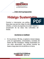 Hidalgo Sustentable