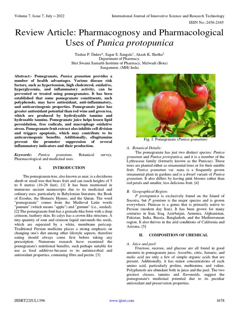 review-article-pharmacognosy-and-pharmacological-uses-of-punica
