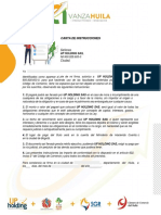 Anexo 2 Carta de Interes y Compromiso