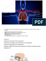 SistemaRespiratorioFuncionesOrganos